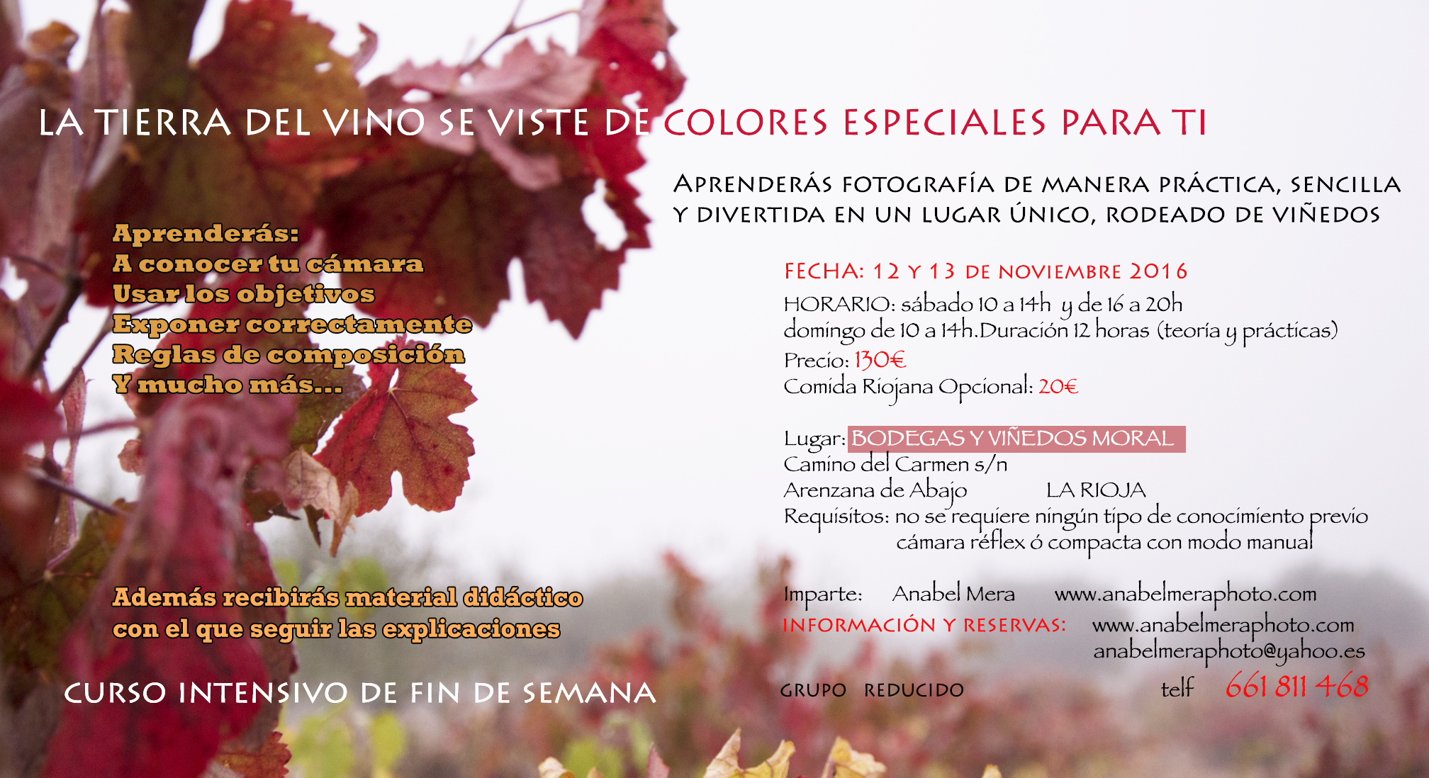 La tierra del vino se viste de colores para ti